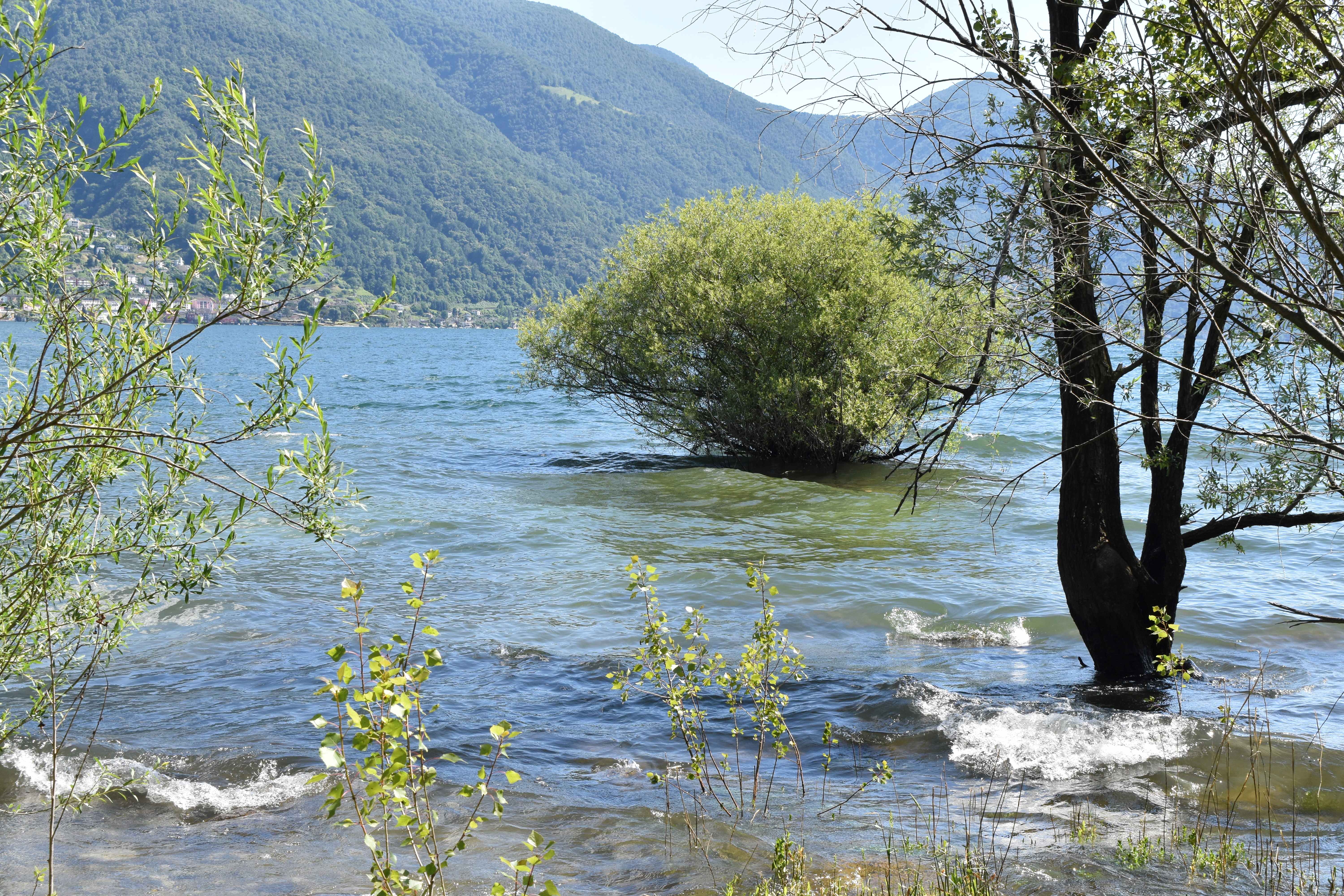 Lago Maggiore bei Ascona